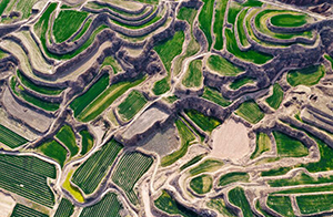 رويشنغ، شانشي: منظر حقول المدرجات على هضبة اللوس في الربيع