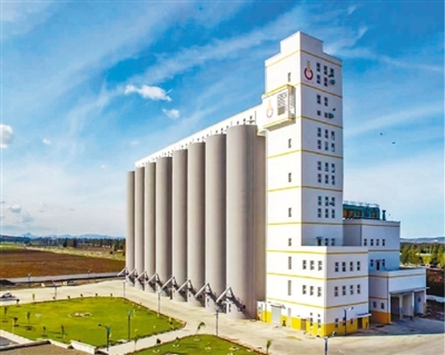 صوامع لتخزين الحبوب .. مشروع يعزز التعاون الزراعي بين الصين والجزائر