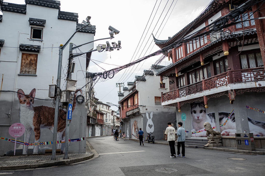 شوارع شنغهاي القديمة تتزين بالقطط