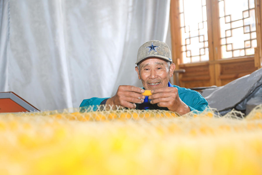 هوتشو، تشجيانغ: فرحة المزارعين في حصاد الشرانق الذهبية