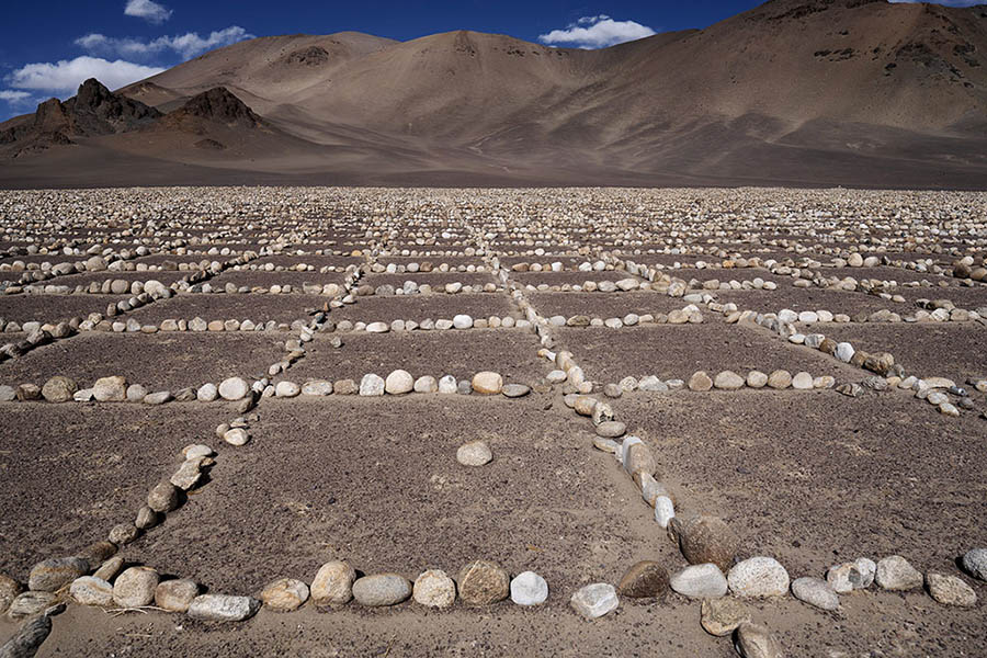 شبكة حجرية لحماية المراعي في التبت من هجوم الرمال