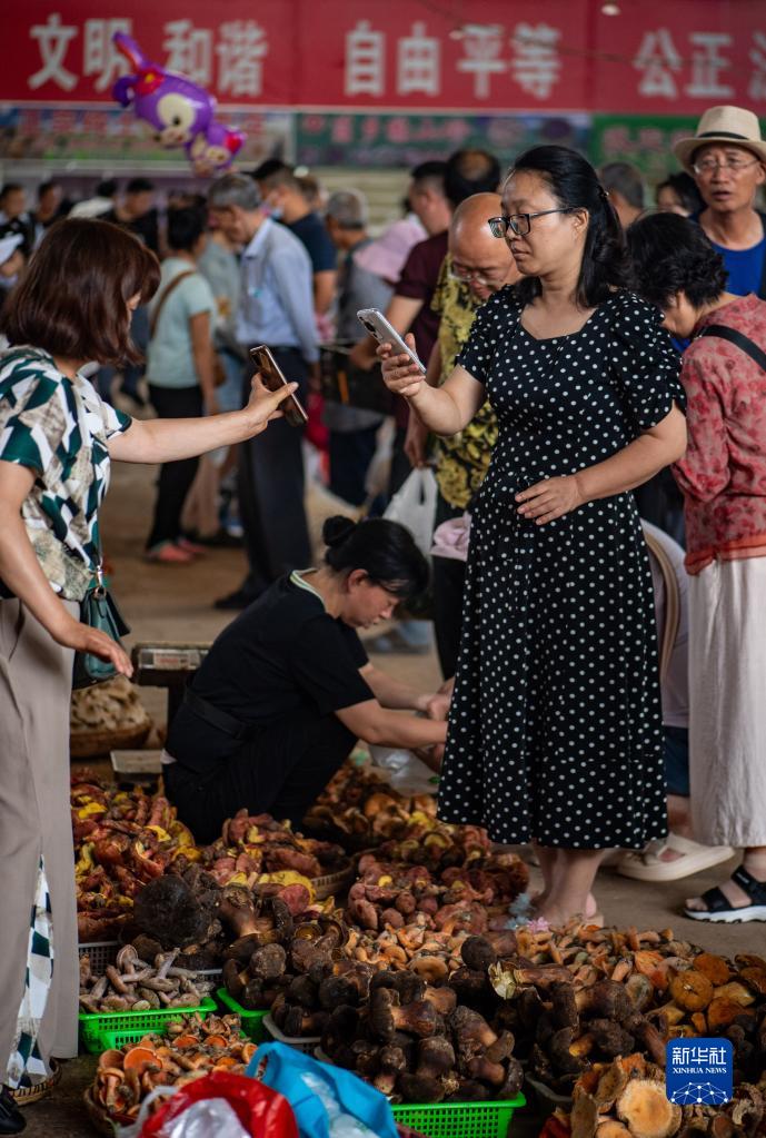 موسم الامطار ينعش تجارة الفطر البري في أسواق يوننان