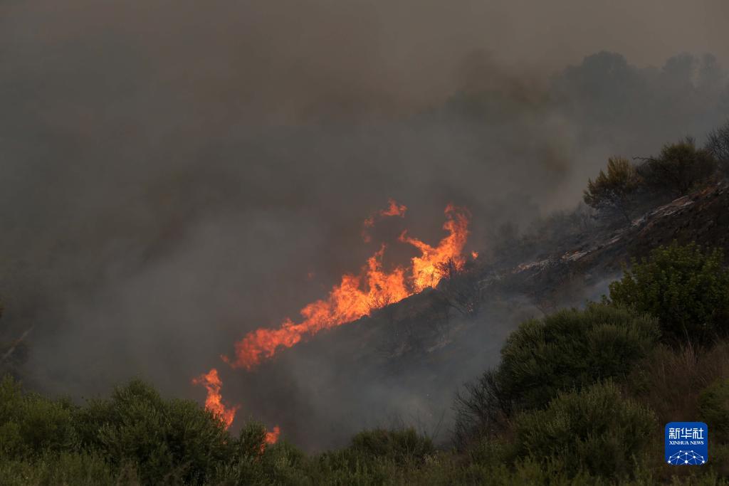 ارتفاع ضحايا حرائق الغابات في الجزائر إلى 34 شخصا