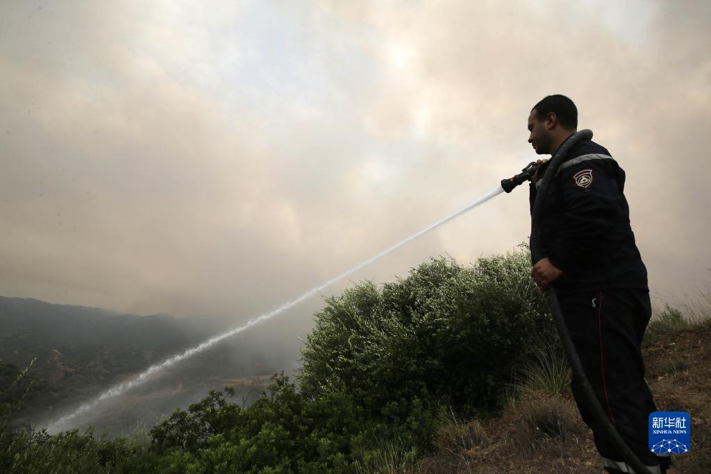 ارتفاع ضحايا حرائق الغابات في الجزائر إلى 34 شخصا