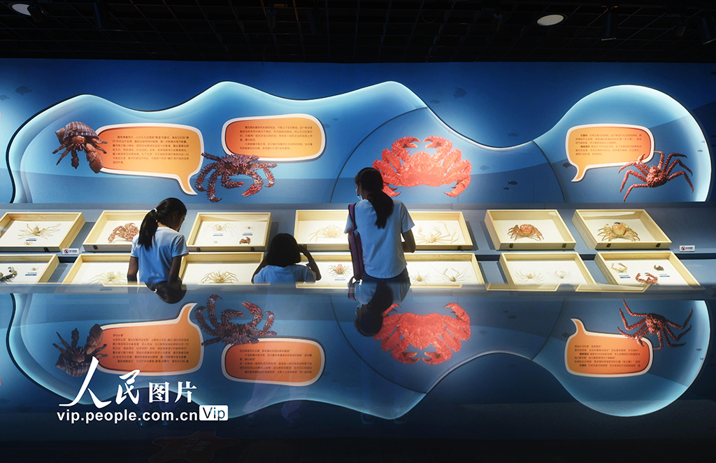 معرض تفاعلي حول أعماق البحر يجذب العديد من الأطفال في هانغتشو