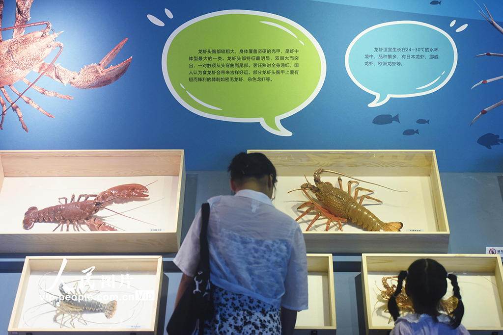 معرض تفاعلي حول أعماق البحر يجذب العديد من الأطفال في هانغتشو