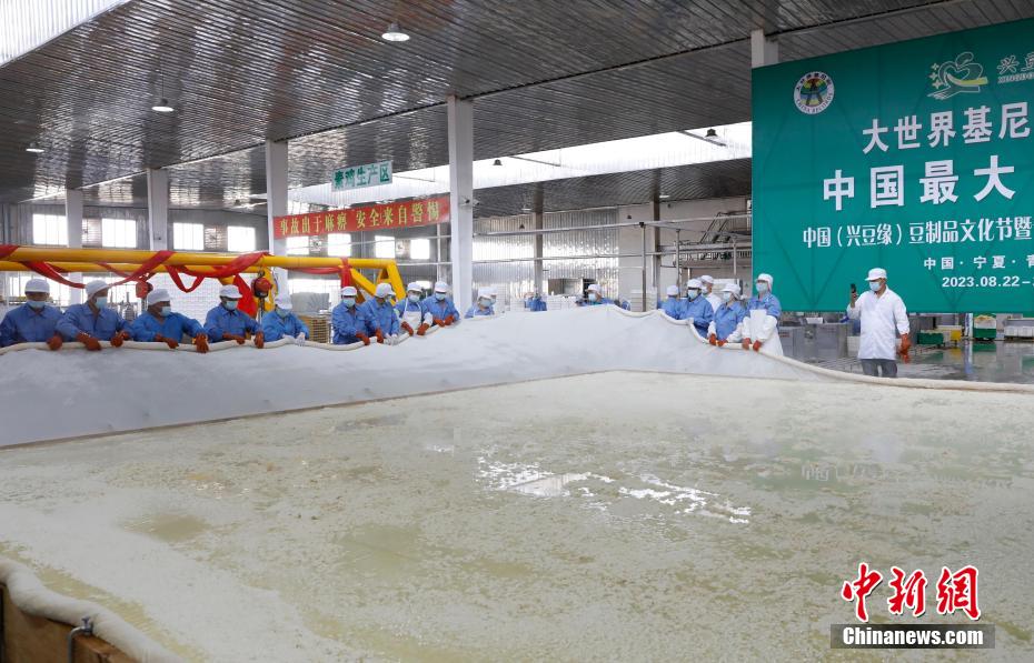 نينغشيا تصنع أكبر قطعة جبن التوفو في الصين