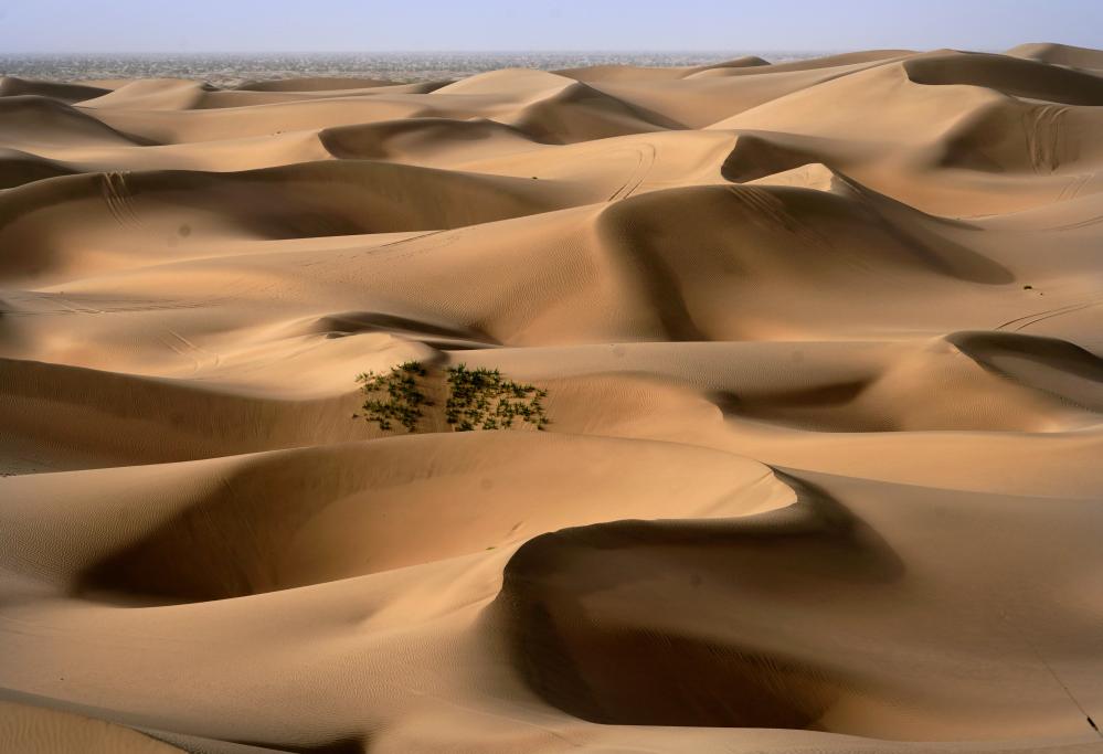 الصورة: محافظة صينية تستغل مواردها الطبيعية لتطوير السياحة الصحراوية