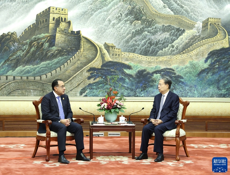 كبير المشرعين الصينيين يلتقي رئيس الوزراء المصري