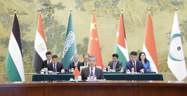 وزير الخارجية الصيني يجري محادثات مع وفد من وزراء خارجية الدول العربية والإسلامية