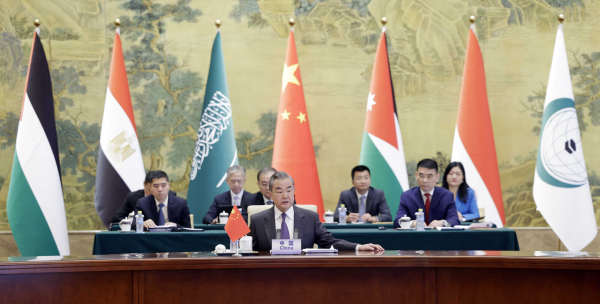 وزير الخارجية الصيني يجري محادثات مع وفد من وزراء خارجية الدول العربية والإسلامية