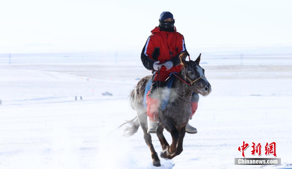 شيلينغول بمنغوليا الداخلية تنظم الدور التمهيدي لسباقات الخيل على الثلوج