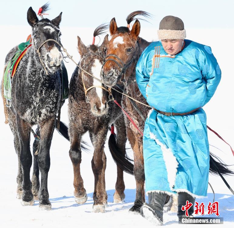 شيلينغول بمنغوليا الداخلية تنظم الدور التمهيدي لسباقات الخيل على الثلوج