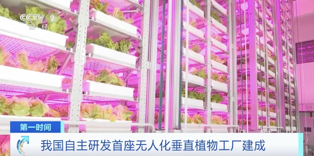 الصين تبني أول مصنع للنباتات العمودية غير المأهول من 20 طابقًا