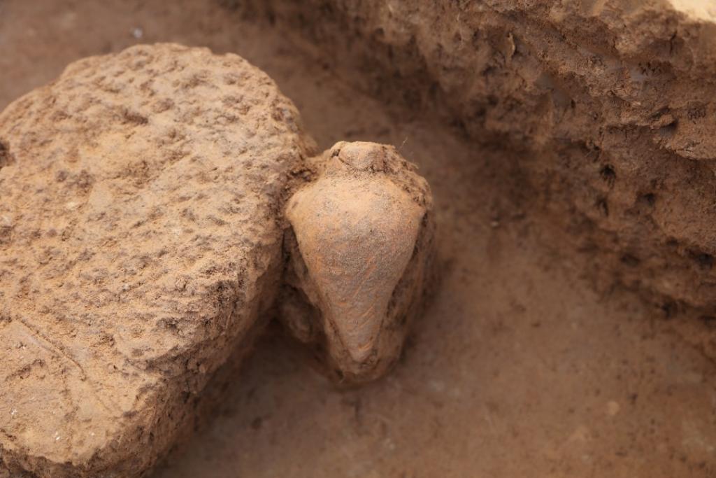 علماء الآثار يكتشفون زجاجة نادرة عمرها 7000 عام في خنان بوسط الصين