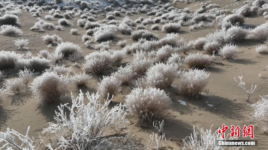 بياض الصقيع يكسو رمال صحراء بوهو بشينجيانغ