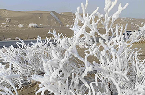 بياض الصقيع يكسو رمال صحراء بوهو بشينجيانغ