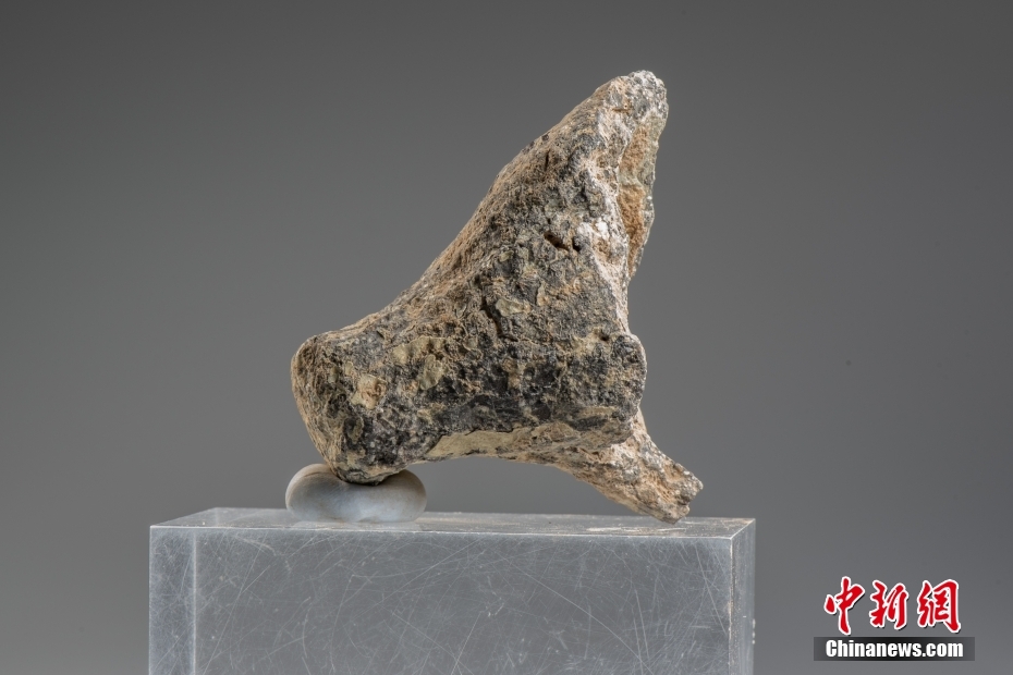 علماء آثار يكتشفون ورشة عمل قديمة للفخار في مقاطعة شنشي الصينية