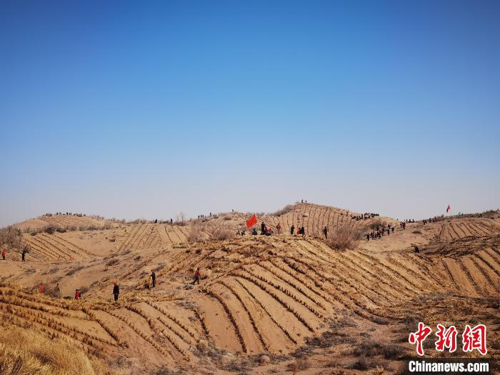 مع حلول الربيع...ليانغتشو تبدأ أعمال مكافحة الرمال في صحراء تنغر