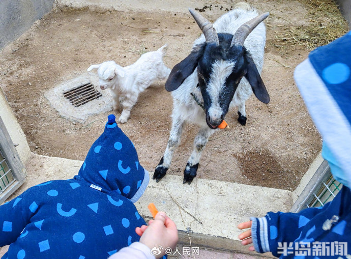 تشينغداو: حديقة حيوانات صغيرة لفك عزلة الأطفال داخل دار رعاية