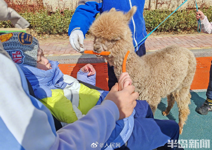 تشينغداو: حديقة حيوانات صغيرة لفك عزلة الأطفال داخل دار رعاية