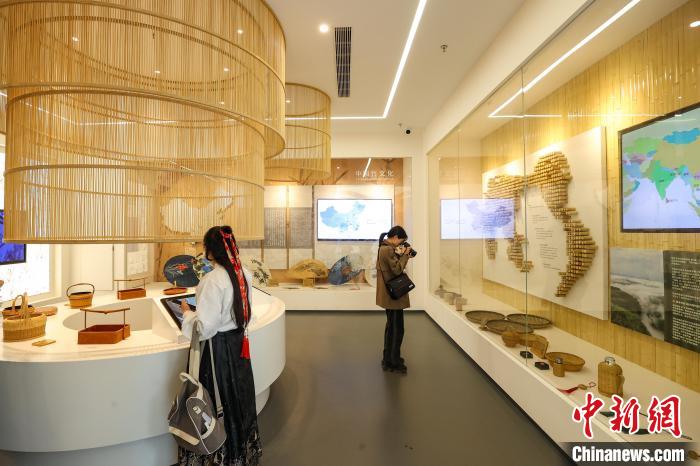 متحف ثقافة الخيزران بقويتشو .. حكاية شجرة الخيزران الصينية