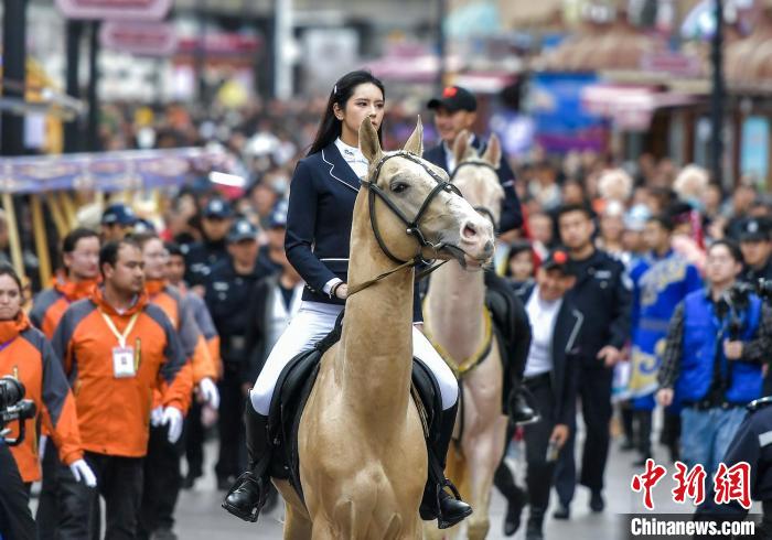 خيول فيرغانا تجتذب أنظار السياح في بازار شينجيانغ الكبير