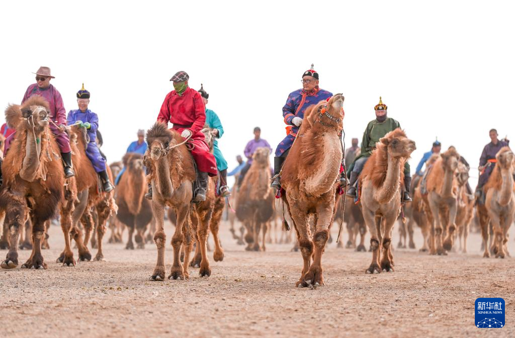 افتتاح مهرجان الحُوار للسياحة الثقافية لعام في منغوليا الداخلية 2024