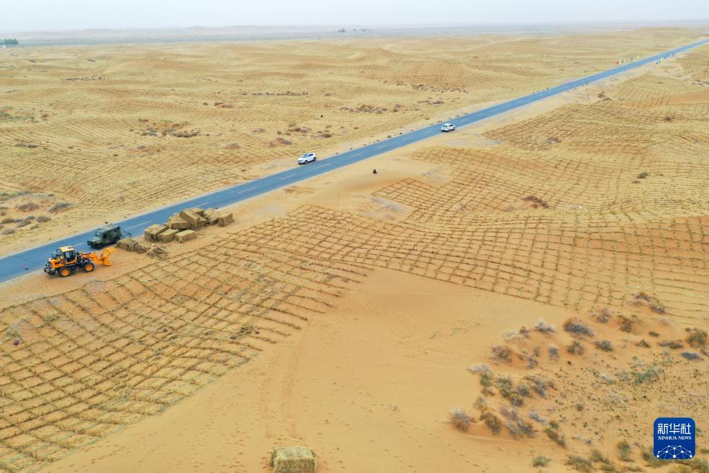 جهود متواصلة لمكافحة التصحر في منغوليا الداخلية
