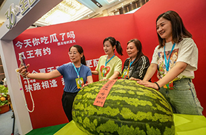 88.95 كغ! "ملك البطيخ" في مهرجان بكين داشينغ للبطيخ