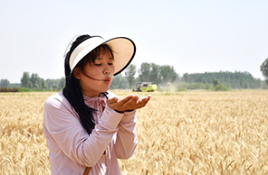 سائقة آلة الحصاد "ما بعد عام 2000" تطارد حلمها في المنطقة الريفية