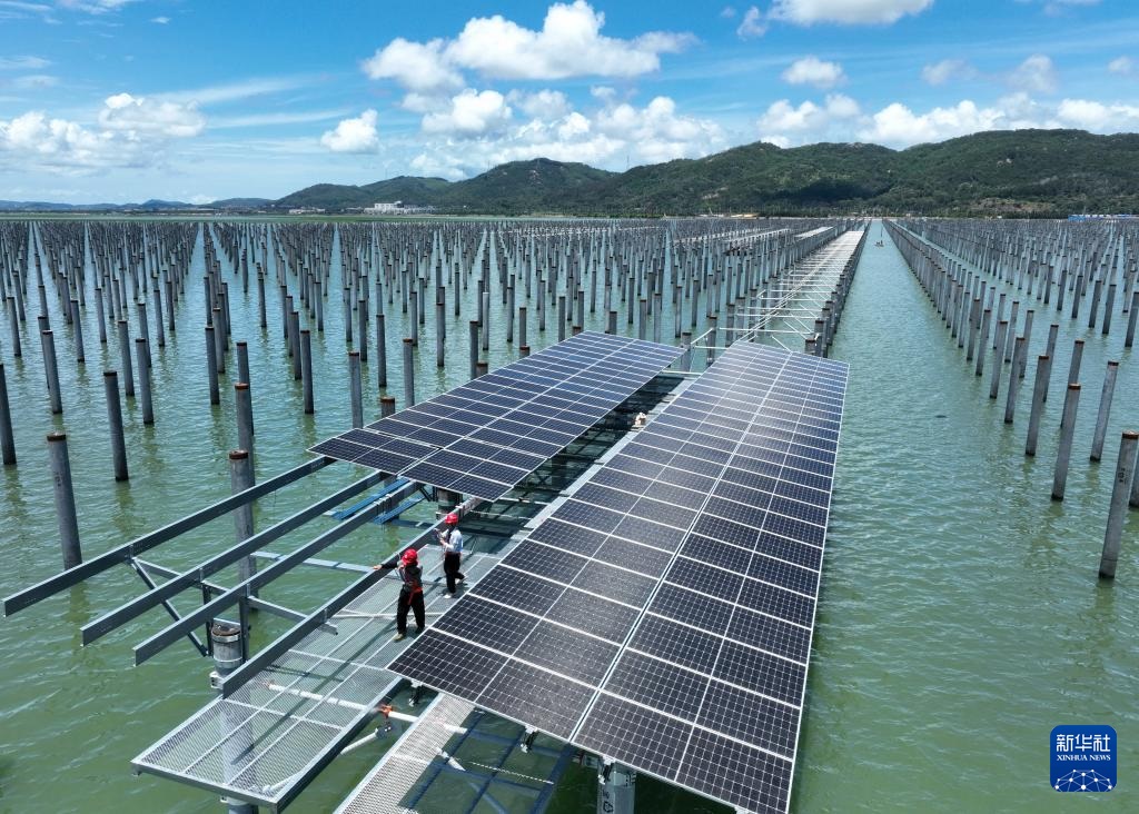 فوجيان: محطة عائمة تجمع بين توليد الكهرباء وتربية الأسماك