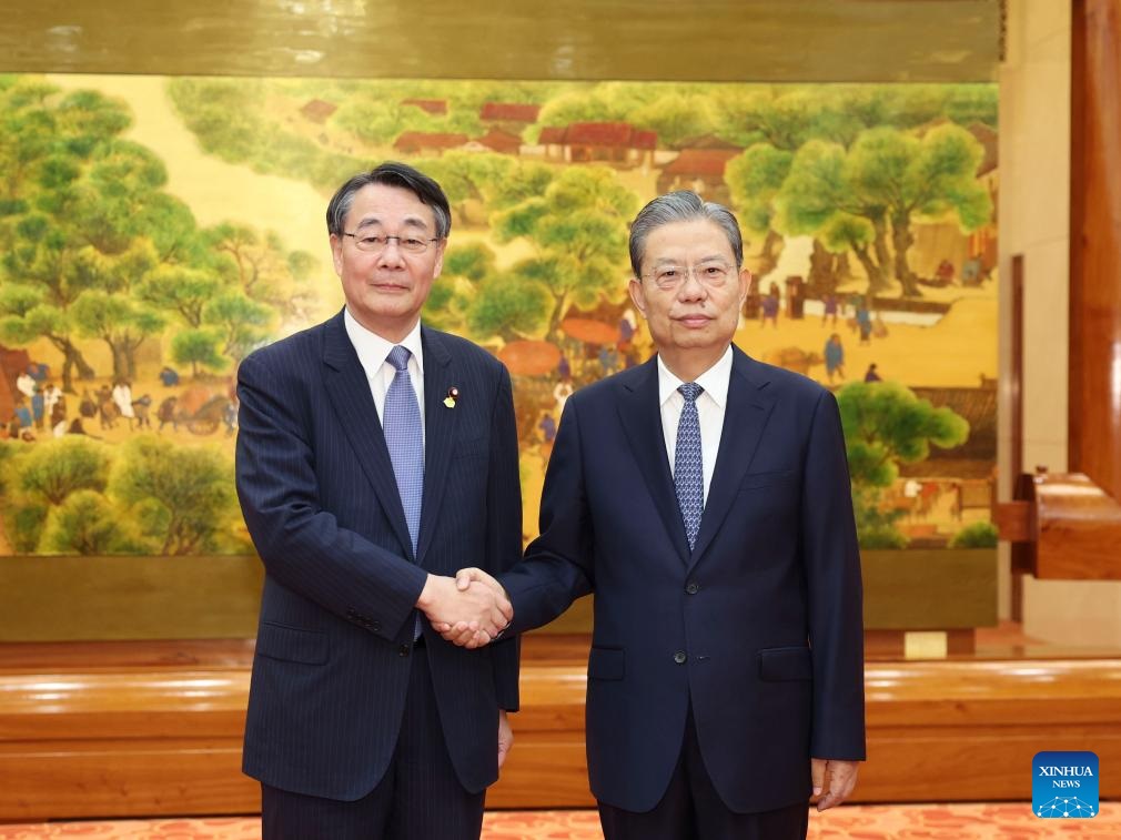 كبير المشرعين الصينيين يلتقي نائب رئيس مجلس النواب الياباني