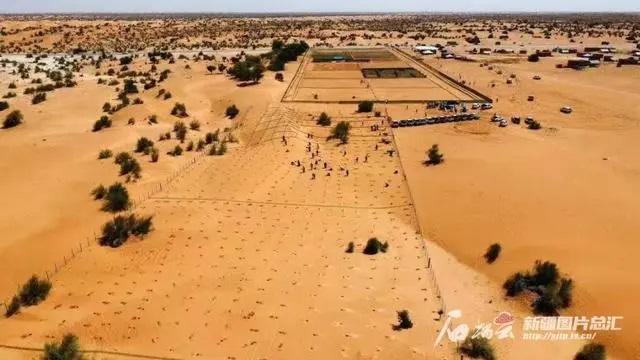 حديقة التكنولوجيا الخضراء بموريتانيا، نموذج للتعاون الصيني الإفريقي في قهر الصحراء