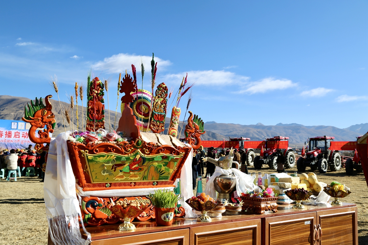 مهرجان حراثة الربيع ينطلق في شيتسانغ