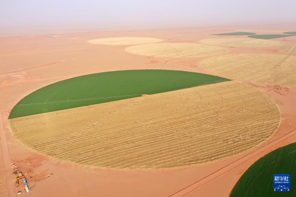 فرق حفر الآبار الصيني في الصحراء