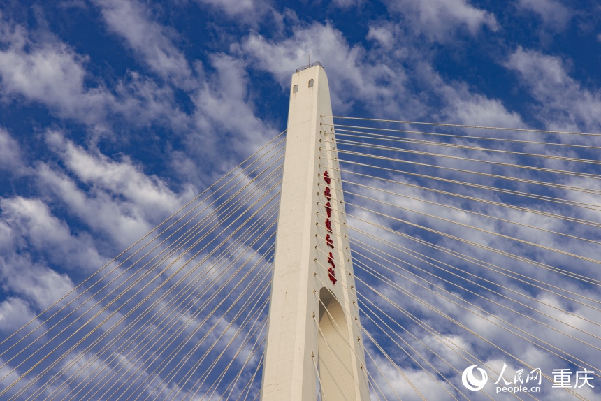 الجسور تظهر 