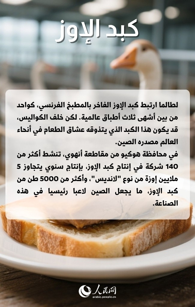 سلع أجنبية كانت الصين تستوردها، والآن باتت تصنعها وتصدرها