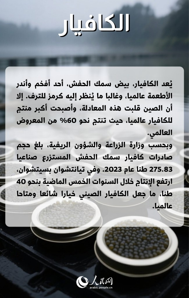 سلع أجنبية كانت الصين تستوردها، والآن باتت تصنعها وتصدرها