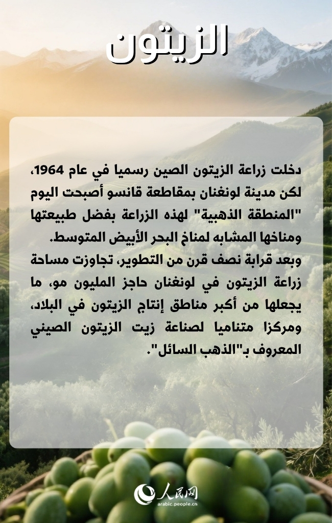 سلع أجنبية كانت الصين تستوردها، والآن باتت تصنعها وتصدرها