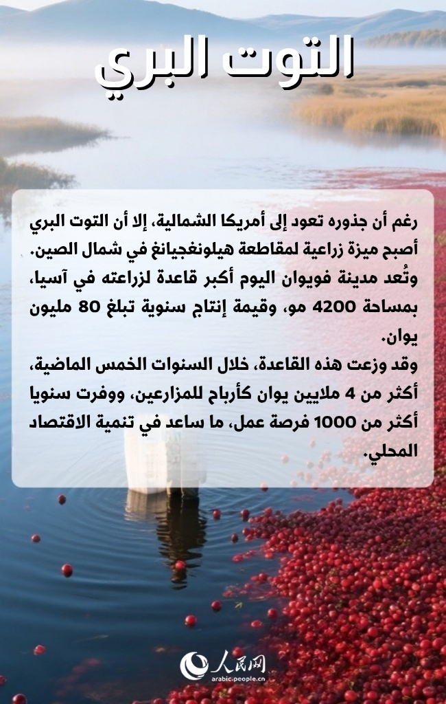 سلع أجنبية كانت الصين تستوردها، والآن باتت تصنعها وتصدرها