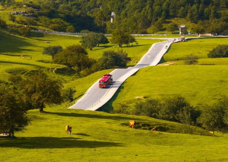 السكك الحديدية فائقة السرعة تعزز السياحة الصيفية في تشونغتشينغ