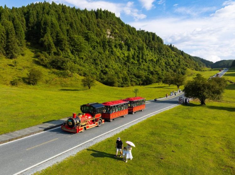 السكك الحديدية فائقة السرعة تعزز السياحة الصيفية في تشونغتشينغ