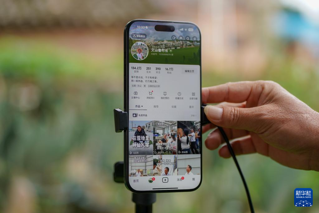 زراعة الصبار تعيد إحياء مناطق تشكو التصحر الصخري