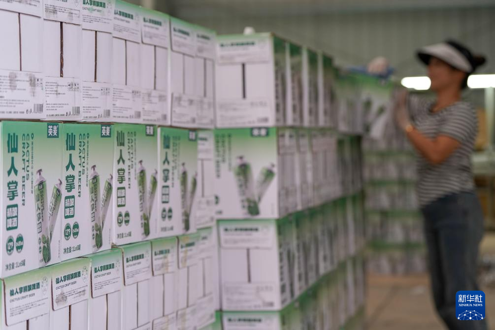 زراعة الصبار تعيد إحياء مناطق تشكو التصحر الصخري