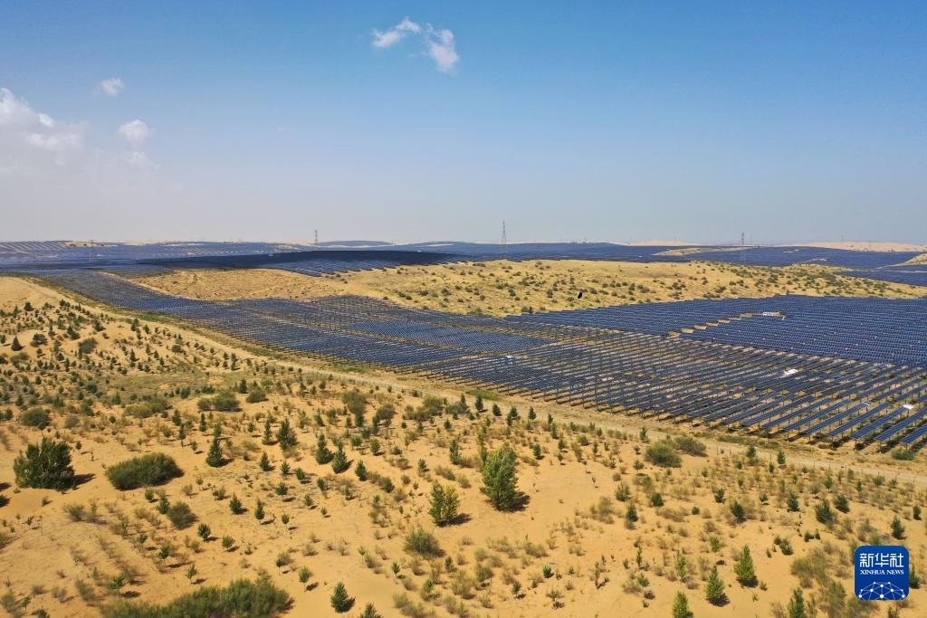 صناعة الطاقة الكهروضوئية تُسهم في بناء حاجز بيئي في صحراء كوبوكي