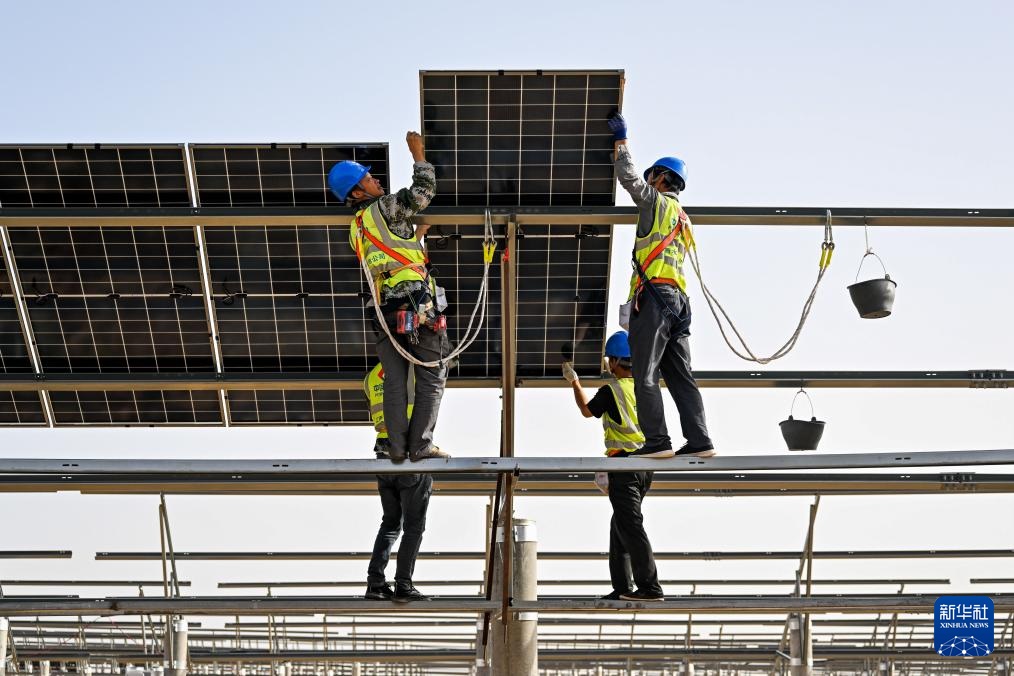 صناعة الطاقة الكهروضوئية تُسهم في بناء حاجز بيئي في صحراء كوبوكي