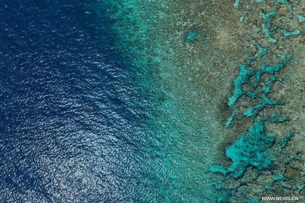 محمية هوانغيان داو الطبيعية الوطنية في جنوبي الصين