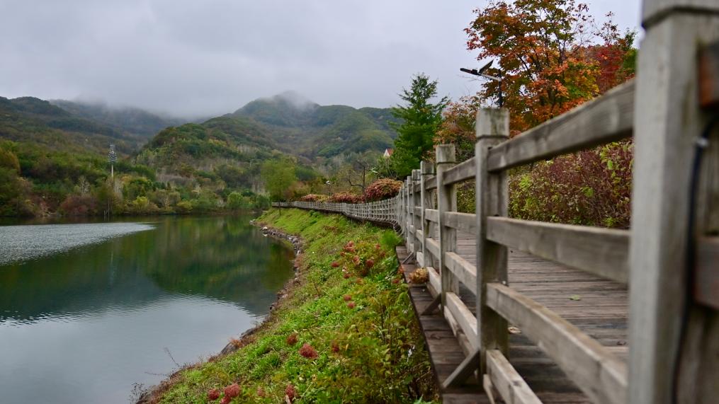 الصورة: مناظر خريفية خلابة في شمال شرقي الصين