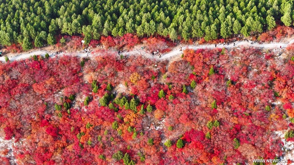 مناظر خريفية في مدينة بشرقي الصين